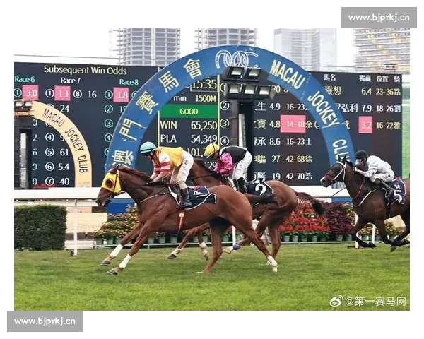 全面解析体育投注技巧 提高投注成功率的实用指南 全面解析体育投注技巧 提高投注成功率的实用指南